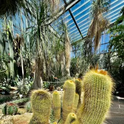 Botanical Garden of the University of Tübingen - Tubingen