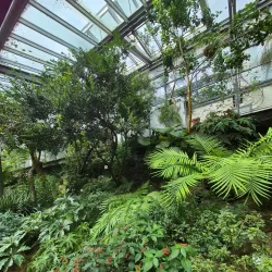 Botanical Garden of the University of Tübingen - Tubingen