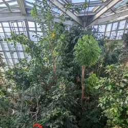 Botanical Garden of the University of Tübingen - Tubingen