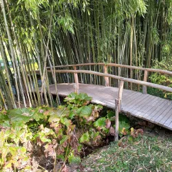 Botanical Garden of the University of Tübingen - Tubingen