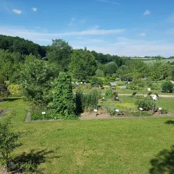 Botanical Garden Ulm - Ulm