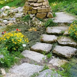 Botanical Garden Ulm - Ulm