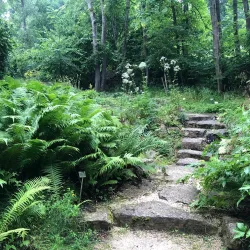 Botanical Garden Ulm - Ulm