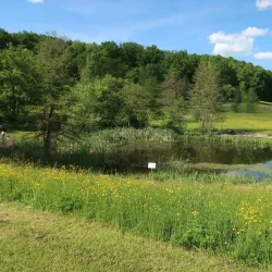 Botanical Garden Ulm - Ulm