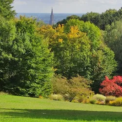Botanical Garden Ulm - Ulm