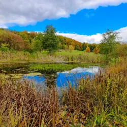 Botanical Garden Ulm - Ulm