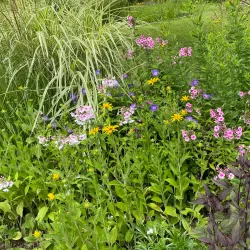 Botanical Garden Ulm - Ulm