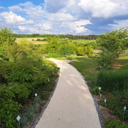 Botanical Garden Ulm - Ulm