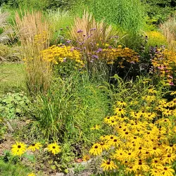 Botanical Garden Ulm - Ulm