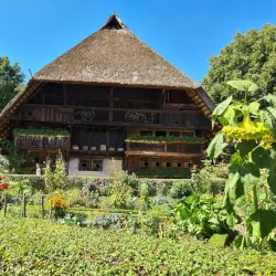 Black Forest Open Air Museum (Vogtsbauernhof) - Villingen-Schwenningen