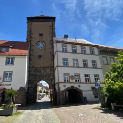 Rietpark - Villingen-Schwenningen