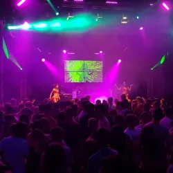 Historic Town Hall - Vilsbiburg