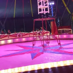 Historic Town Hall - Vilsbiburg