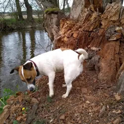 Vils River Walk - Vilsbiburg