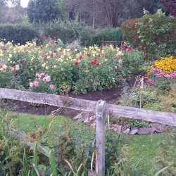 A stunning outdoor scene in Vilseck