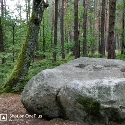 Beautiful landscape of Vilseck