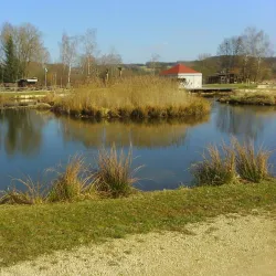 Captivating view of Vilseck city