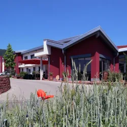 Local Vineyards and Wine Tasting - Walldürn