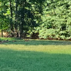 Nature Park Neckartal-Odenwald - Walldürn