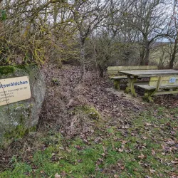 Walldürn Forest and Hiking Trails - Walldürn