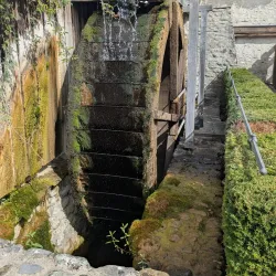 Allgäu Museum - Wangen im Allgäu