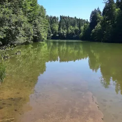 Herrenbach Reservoir - Wangen im Allgäu