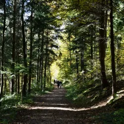 Herrenbach Reservoir - Wangen im Allgäu