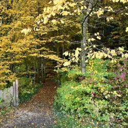 Herrenbach Reservoir - Wangen im Allgäu