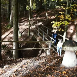 Herrenbach Reservoir - Wangen im Allgäu
