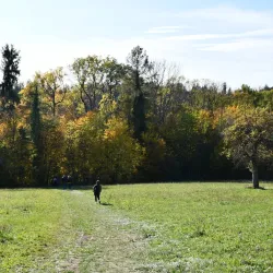 Herrenbach Reservoir - Wangen im Allgäu