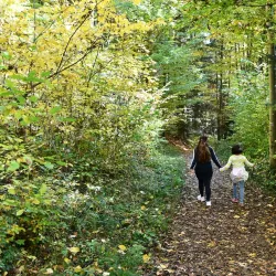 Herrenbach Reservoir - Wangen im Allgäu
