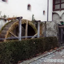 Museum Wangen - Wangen im Allgäu