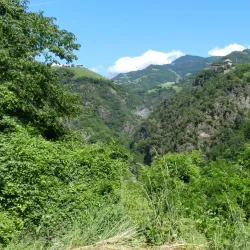 Schloss Wangen (Wangen Castle) - Wangen im Allgäu