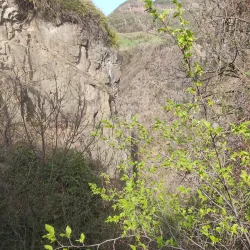 Schloss Wangen (Wangen Castle) - Wangen im Allgäu