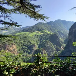 Schloss Wangen (Wangen Castle) - Wangen im Allgäu