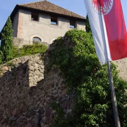 Schloss Wangen (Wangen Castle) - Wangen im Allgäu