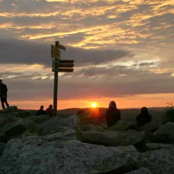 Bavarian Forest Nature Park (nearby) - Weiden I.d.opf.