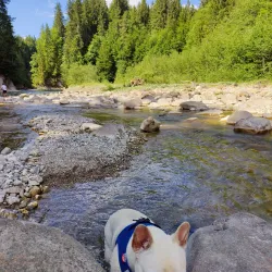 Ammer River Walk - Weilheim in Oberbayern