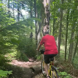 Ammer River Walk - Weilheim in Oberbayern