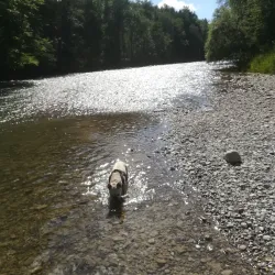 Ammer River Walk - Weilheim in Oberbayern
