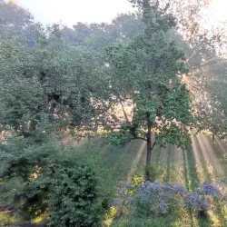 St. Michael's Church (Pfarrkirche St. Michael) - Weilheim in Oberbayern