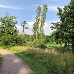 Park an der Ilm - Weimar