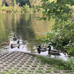 Lahn River Promenade - Wetzlar