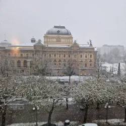 Hessisches Staatstheater Wiesbaden - Wiesbaden