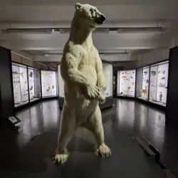 Museum Wiesbaden - Wiesbaden