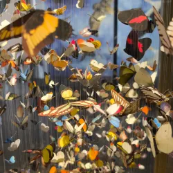 Museum Wiesbaden - Wiesbaden