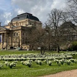 Warmer Damm Park - Wiesbaden