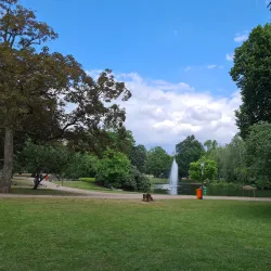 Warmer Damm Park - Wiesbaden