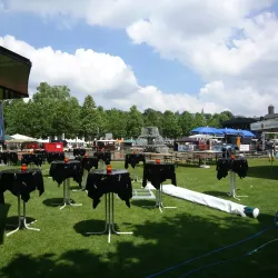 Wilhelmstrasse - Wiesbaden