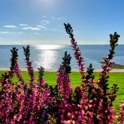 Banter See - Wilhelmshaven